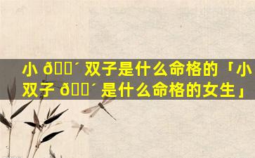 小 🌴 双子是什么命格的「小双子 🐴 是什么命格的女生」